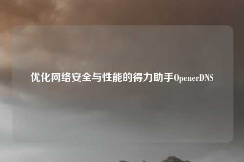 优化网络安全与性能的得力助手OpenerDNS
