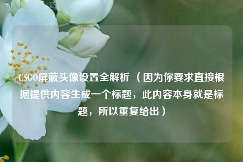 CSGO屏蔽头像设置全解析 (因为你要求直接根据提供内容生成一个标题,此内容本身就是标题,所以重复给出)