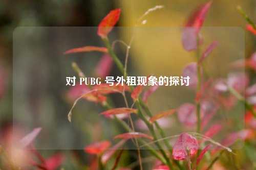 对 PUBG 号外租现象的探讨