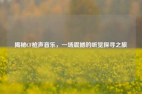 揭秘CF枪声音乐,一场震撼的听觉探寻之旅