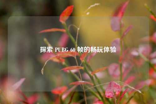 探索 PUBG 60 帧的畅玩体验