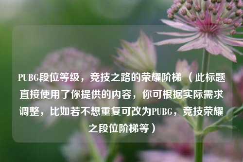 PUBG段位等级，竞技之路的荣耀阶梯 （此标题直接使用了你提供的内容，你可根据实际需求调整，比如若不想重复可改为PUBG，竞技荣耀之段位阶梯等）