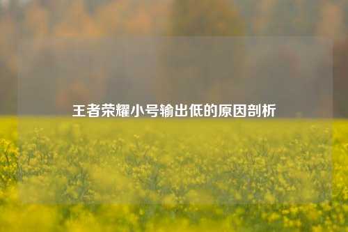 王者荣耀小号输出低的原因剖析