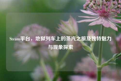 Steam平台,地狱列车上的蒸汽之旅及独特魅力与现象探索