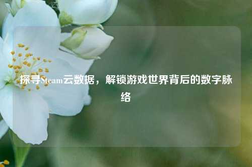 探寻Steam云数据，解锁游戏世界背后的数字脉络