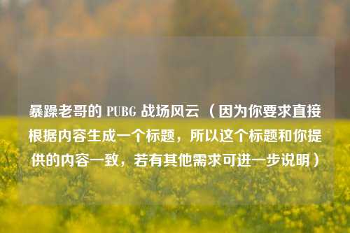 暴躁老哥的 PUBG 战场风云 (因为你要求直接根据内容生成一个标题,所以这个标题和你提供的内容一致,若有其他需求可进一步说明)