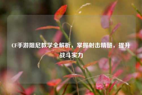 CF手游阻尼教学全解析,掌握射击精髓,提升战斗实力