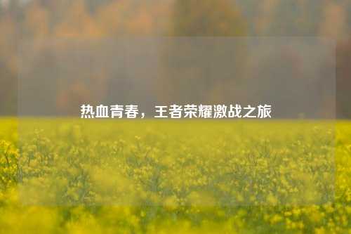 热血青春，王者荣耀激战之旅