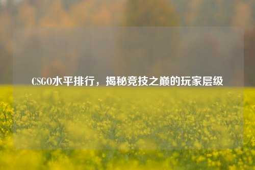 CSGO水平排行,揭秘竞技之巅的玩家层级