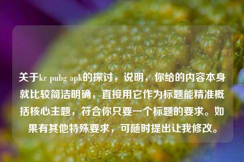 关于kr pubg apk的探讨,说明,你给的内容本身就比较简洁明确,直接用它作为标题能精准概括核心主题,符合你只要一个标题的要求。如果有其他特殊要求,可随时提出让我修改。