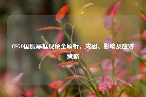 CSGO国服黑框现象全解析,成因、影响及应对策略