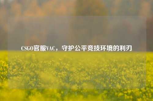 CSGO官服VAC，守护公平竞技环境的利刃