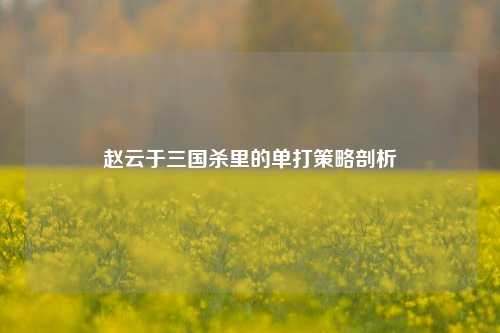 赵云于三国杀里的单打策略剖析