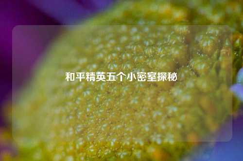 和平精英五个小密室探秘