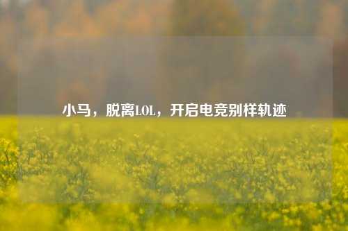 小马,脱离LOL,开启电竞别样轨迹