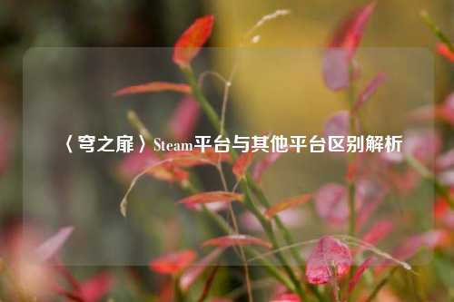 〈穹之扉〉Steam平台与其他平台区别解析