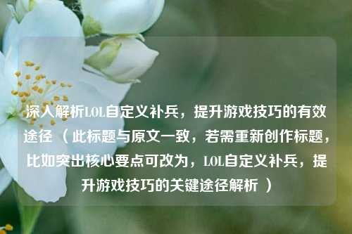 深入解析LOL自定义补兵，提升游戏技巧的有效途径 （此标题与原文一致，若需重新创作标题，比如突出核心要点可改为，LOL自定义补兵，提升游戏技巧的关键途径解析 ）