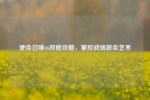 使命召唤16双枪攻略,掌控战场致命艺术