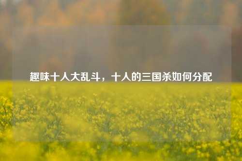 趣味十人大乱斗，十人的三国杀如何分配