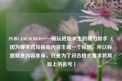 PUBG LAUNCHER——畅玩绝地求生的得力助手 (因为要求直接根据内容生成一个标题,所以标题就是内容本身,只是为了符合格式要求将其加上书名号)