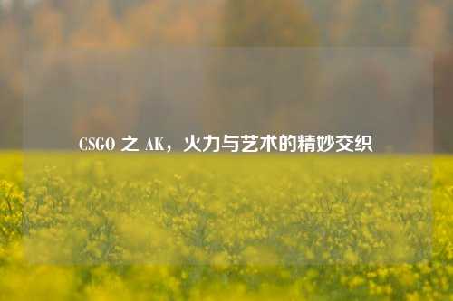 CSGO 之 AK,火力与艺术的精妙交织