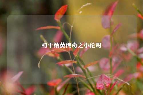 和平精英传奇之小伦哥