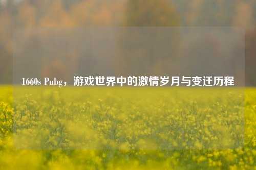 1660s Pubg，游戏世界中的激情岁月与变迁历程