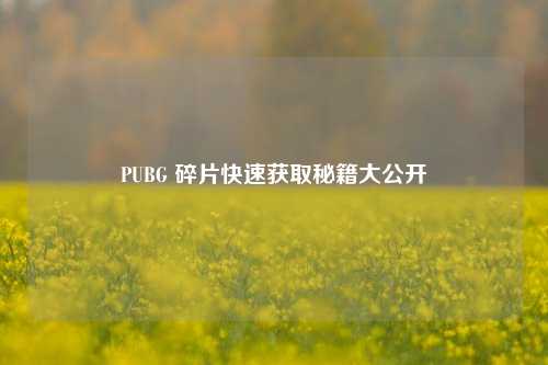 PUBG 碎片快速获取秘籍大公开