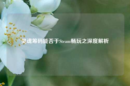 灵魂筹码能否于Steam畅玩之深度解析