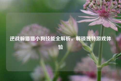 逆战躲猫猫小狗技能全解析，解锁独特游戏体验