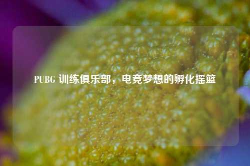 PUBG 训练俱乐部，电竞梦想的孵化摇篮