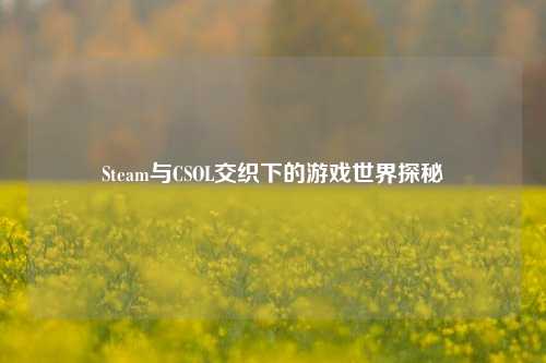Steam与CSOL交织下的游戏世界探秘