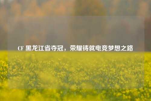 CF 黑龙江省夺冠，荣耀铸就电竞梦想之路