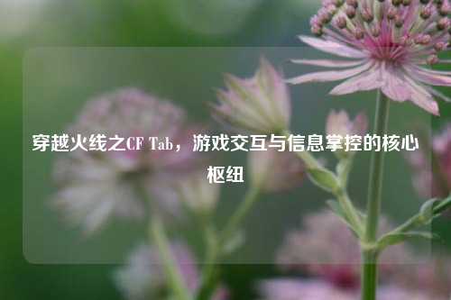 穿越火线之CF Tab,游戏交互与信息掌控的核心枢纽