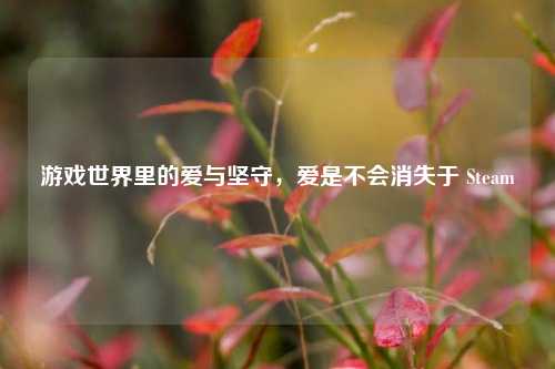 游戏世界里的爱与坚守,爱是不会消失于 Steam
