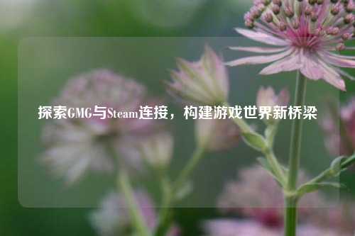 探索GMG与Steam连接,构建游戏世界新桥梁