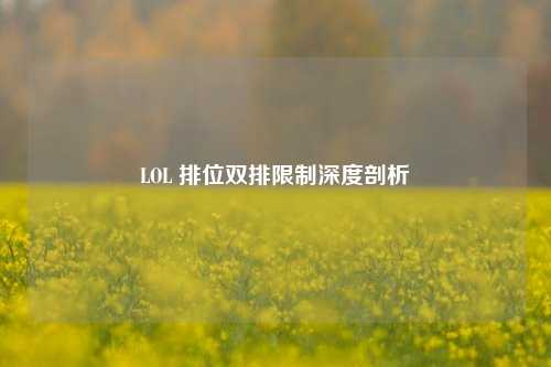 LOL 排位双排限制深度剖析