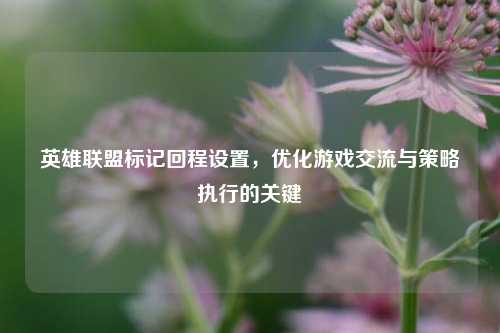英雄联盟标记回程设置，优化游戏交流与策略执行的关键
