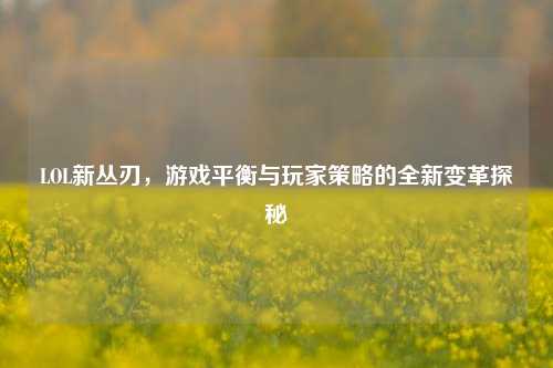 LOL新丛刃，游戏平衡与玩家策略的全新变革探秘