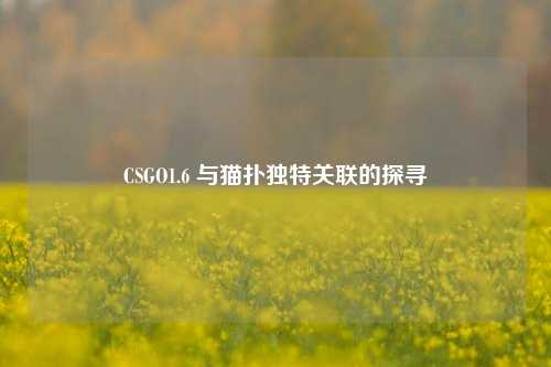 CSGO1.6 与猫扑独特关联的探寻