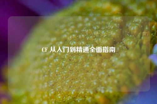 CF 从入门到精通全面指南