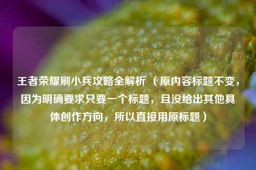 王者荣耀刷小兵攻略全解析 （原内容标题不变，因为明确要求只要一个标题，且没给出其他具体创作方向，所以直接用原标题）