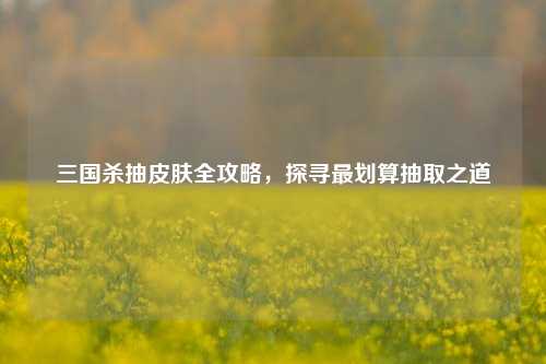 三国杀抽皮肤全攻略，探寻最划算抽取之道