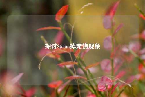 探讨Steam掉宠物现象