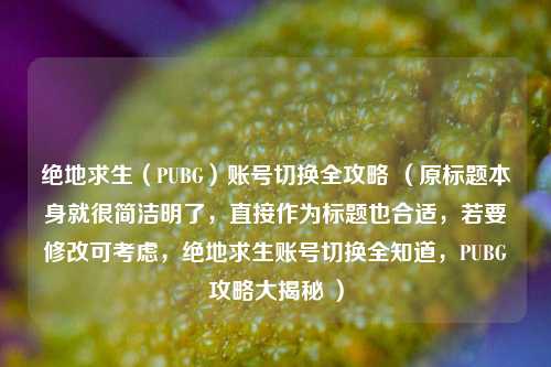 绝地求生（PUBG）账号切换全攻略 （原标题本身就很简洁明了，直接作为标题也合适，若要修改可考虑，绝地求生账号切换全知道，PUBG攻略大揭秘 ）