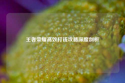 王者荣耀高效打钱攻略深度剖析