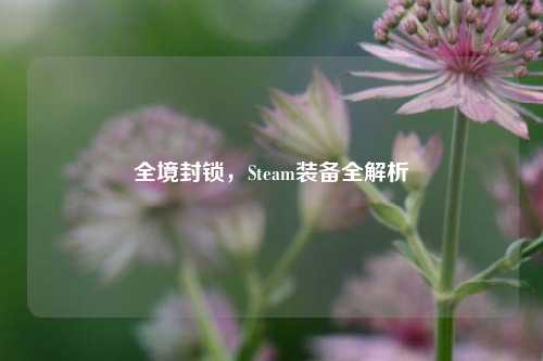 全境封锁，Steam装备全解析