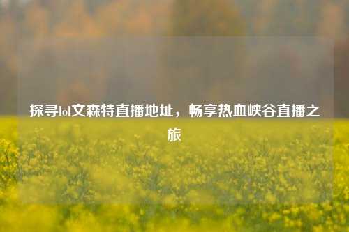 探寻lol文森特直播地址，畅享热血峡谷直播之旅
