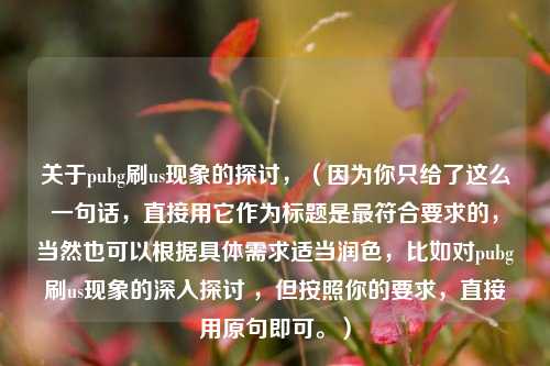 关于pubg刷us现象的探讨,(因为你只给了这么一句话,直接用它作为标题是最符合要求的,当然也可以根据具体需求适当润色,比如对pubg刷us现象的深入探讨 ,但按照你的要求,直接用原句即可。)