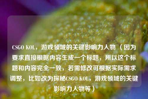 CSGO KOL,游戏领域的关键影响力人物 (因为要求直接根据内容生成一个标题,所以这个标题和内容完全一致,若需修改可根据实际需求调整,比如改为探秘CSGO KOL,游戏领域的关键影响力人物等)